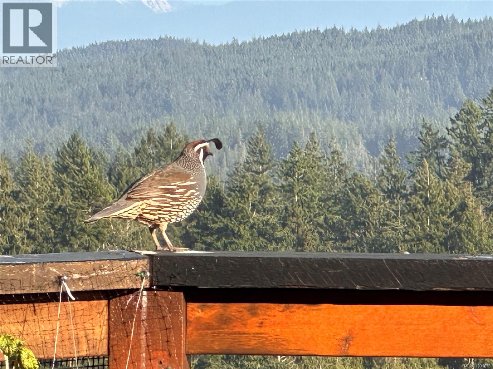 6303 RIVERSTONE DR - 65