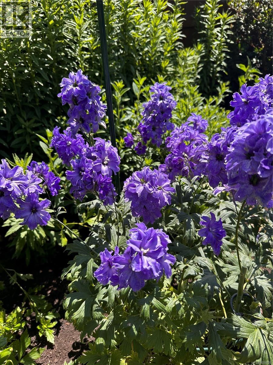 6303 RIVERSTONE DR - 67