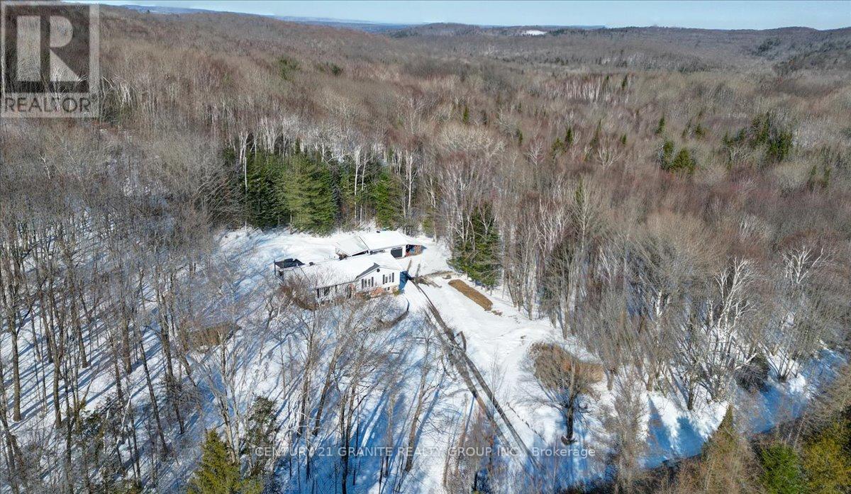 237 CLARK LAKE ROAD - 49