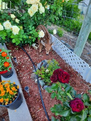 #30 1292 Highway 3A Unit# 30 - 63