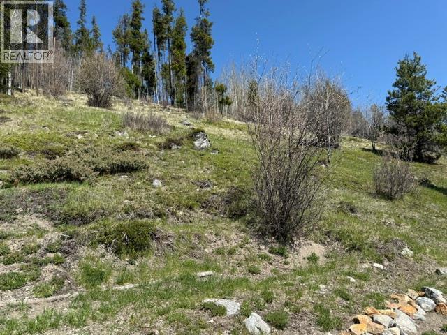 4158 PRINCETON SUMMERLAND ROAD - 61