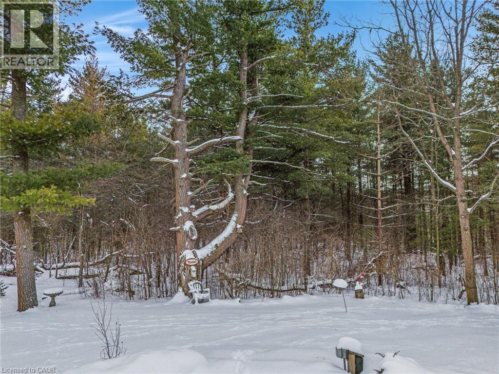 121 BUSHMILL Circle, Freelton, Ontario, L8B1A5 — Photo 48