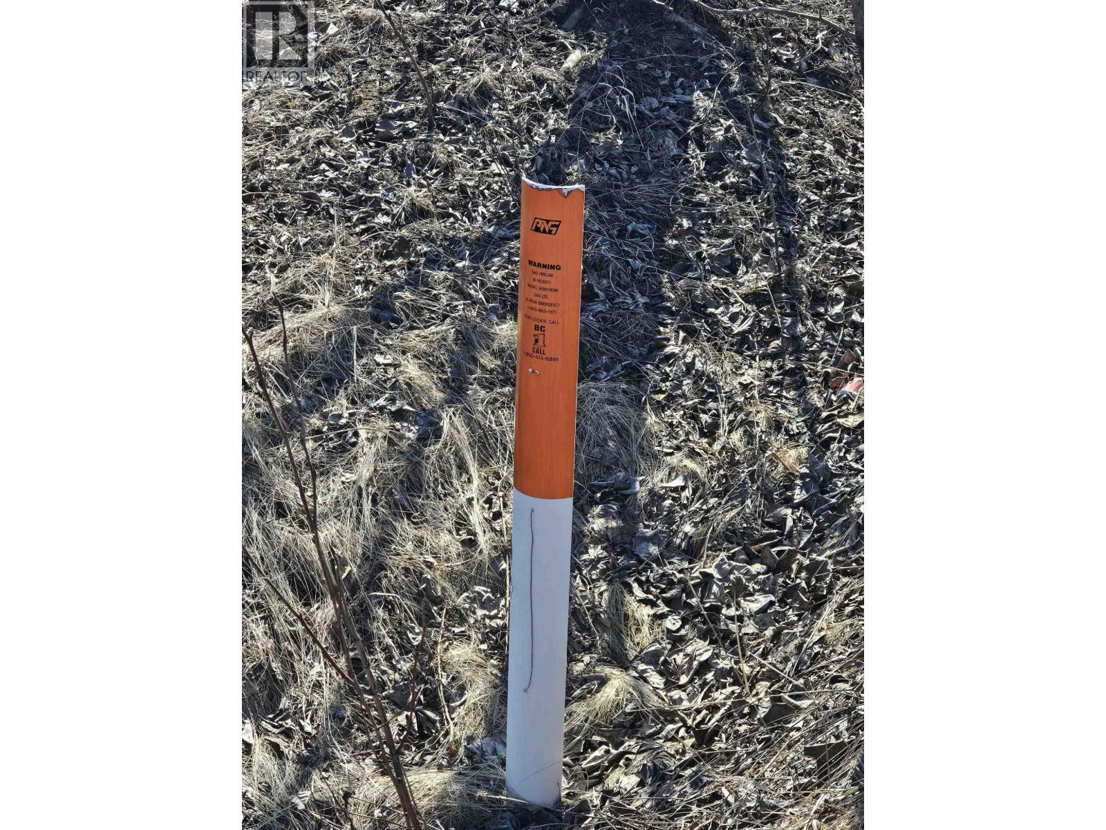 970 NASH Road, Burns Lake