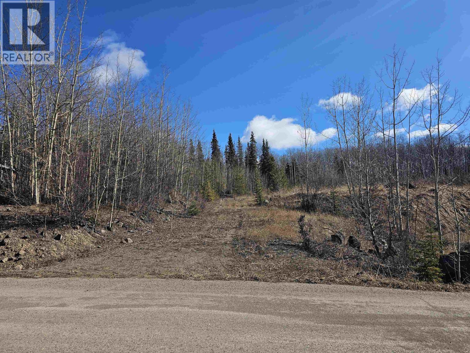 970 NASH Road, Burns Lake