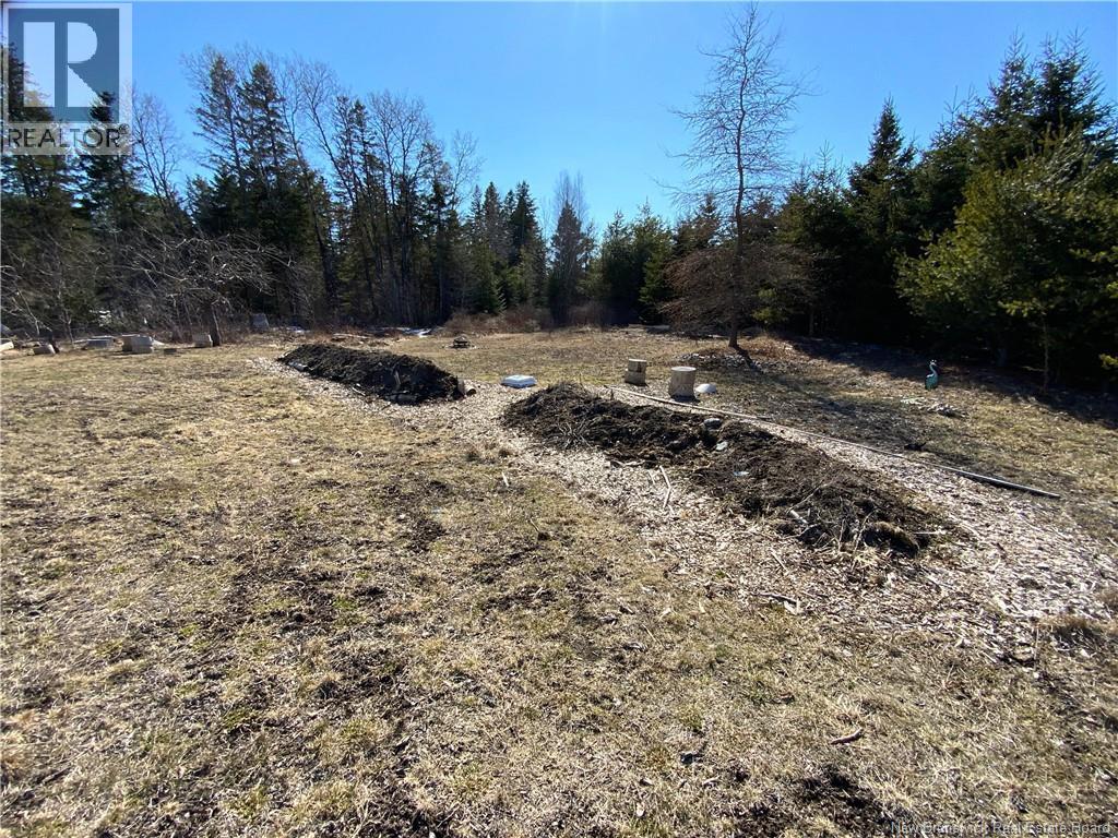 Raised beds. Very nutrient rich.