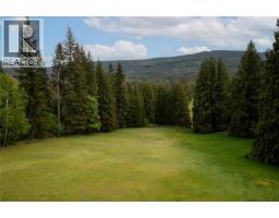 2240 97b Highway Se, Salmon Arm, BC V1E1X6 Photo 40