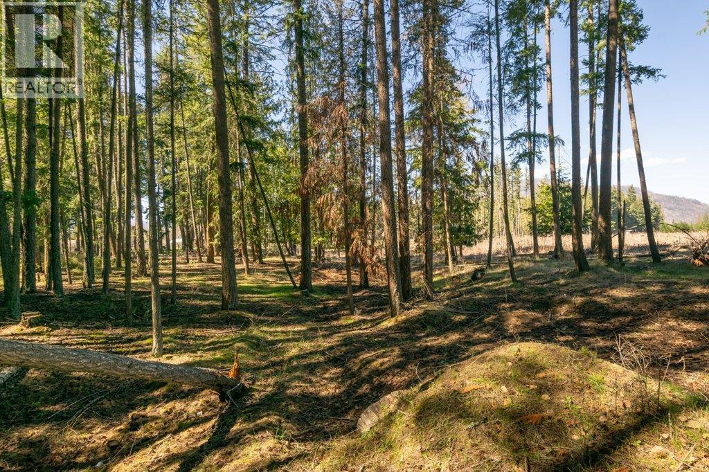 3789 Zinck Road - 73