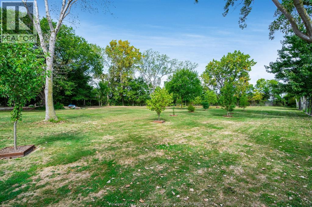 633 Point Pelee DRIVE - 25