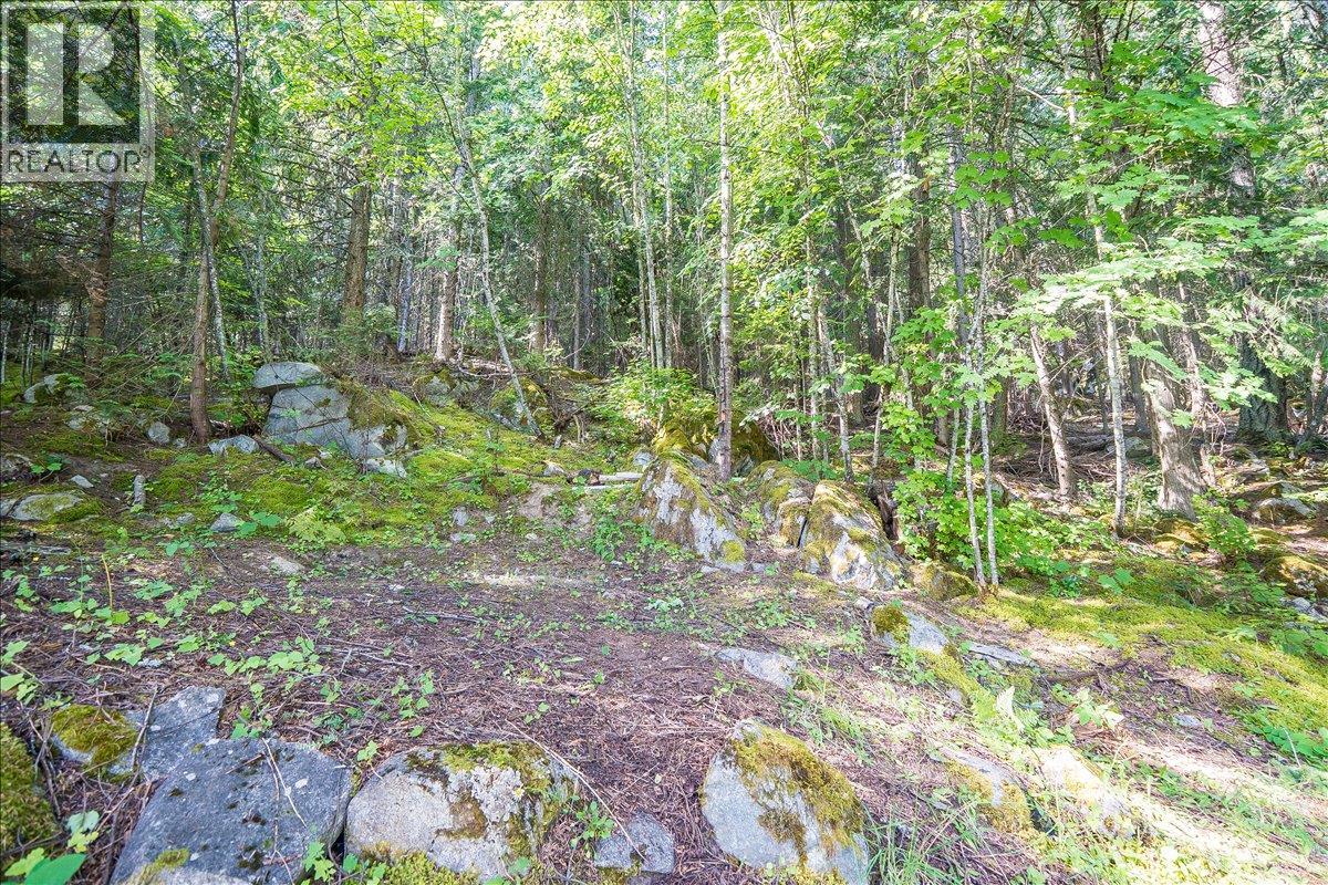 1835 GRANITE ROAD - 52