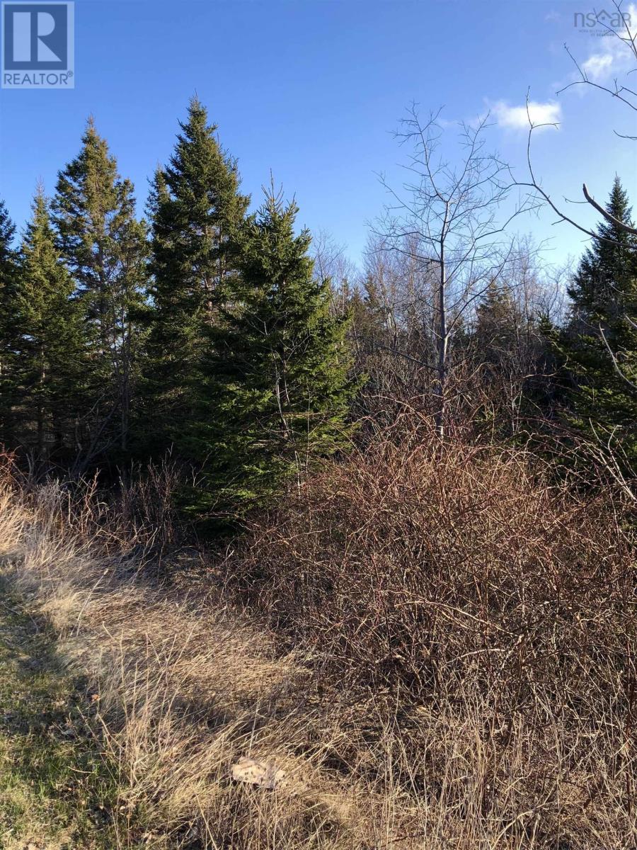 Property photo of Lots 14 & 15 Highview & Clough Ave