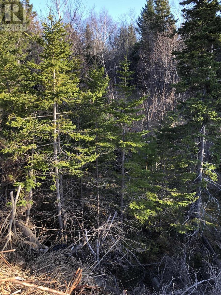 Property 3 of 12 of Lots 14 & 15 Highview & Clough Ave