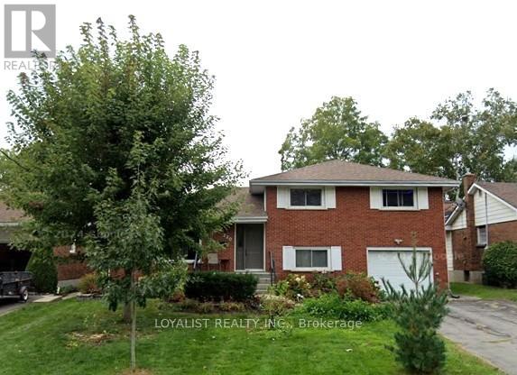 220 PARROTT DRIVE - 1