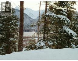Sawczuk Road Lot# 19, Trout Lake, BC V0G1R2 Photo 6