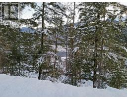 Sawczuk Road Lot# 19, Trout Lake, BC V0G1R2 Photo 8