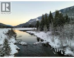 Sawczuk Road Lot# 19, Trout Lake, BC V0G1R2 Photo 9