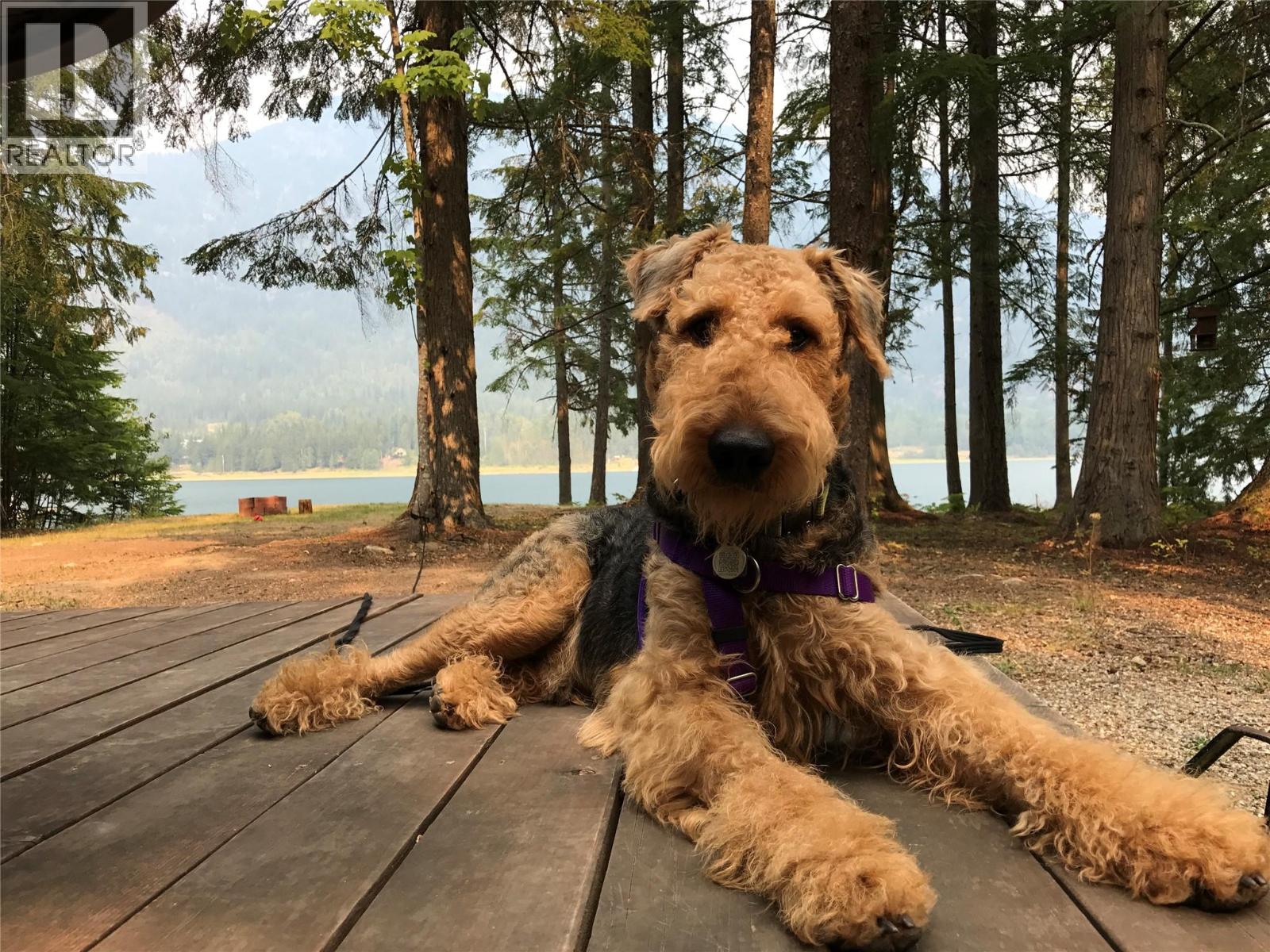 3848 ROCK ISLAND ROAD - 33