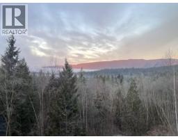 14119 230 Street, Maple Ridge, BC V4R0G9 Photo 35