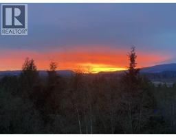 14119 230 Street, Maple Ridge, BC V4R0G9 Photo 33