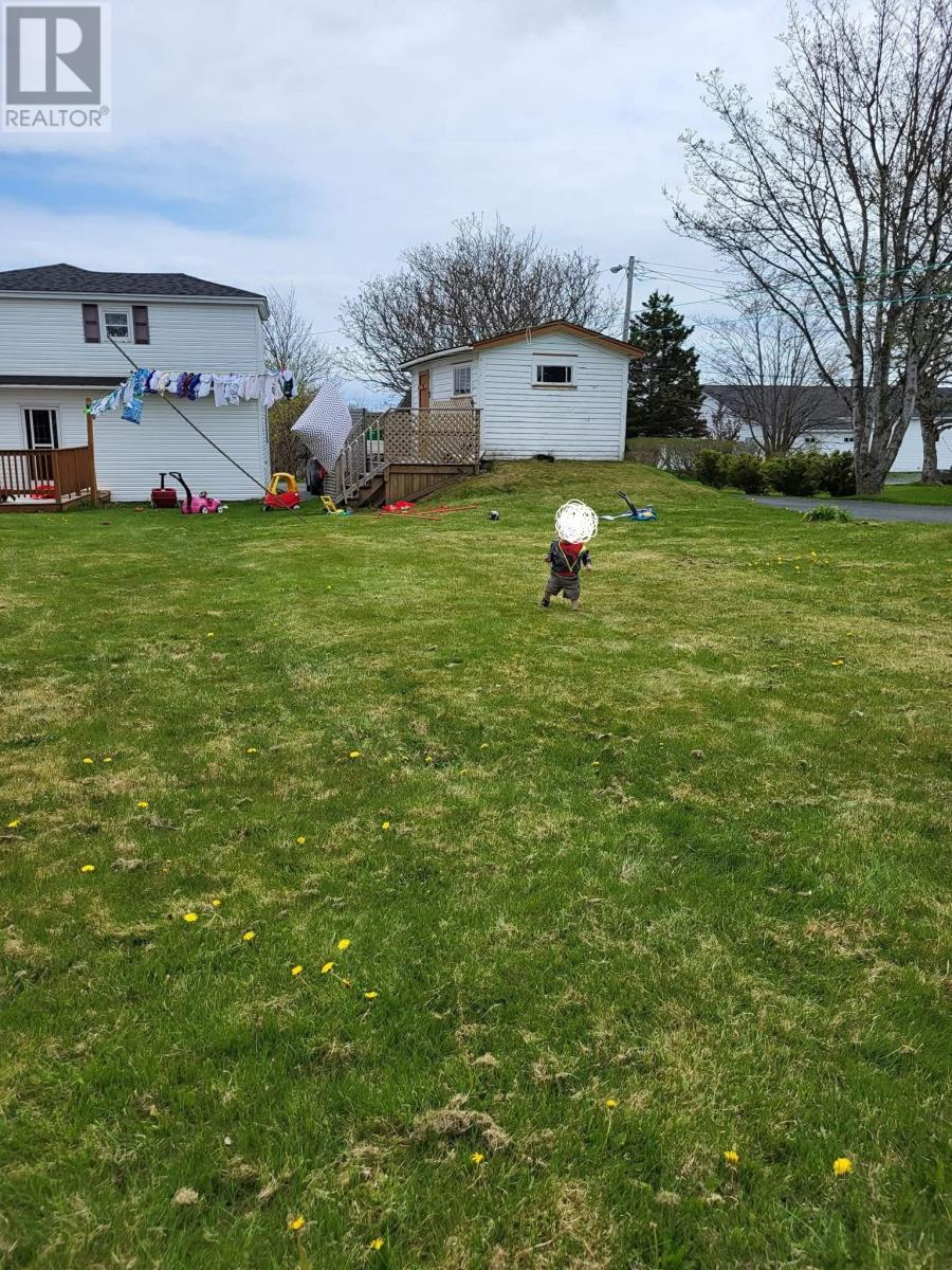 Owner's picture of rear yard during summer