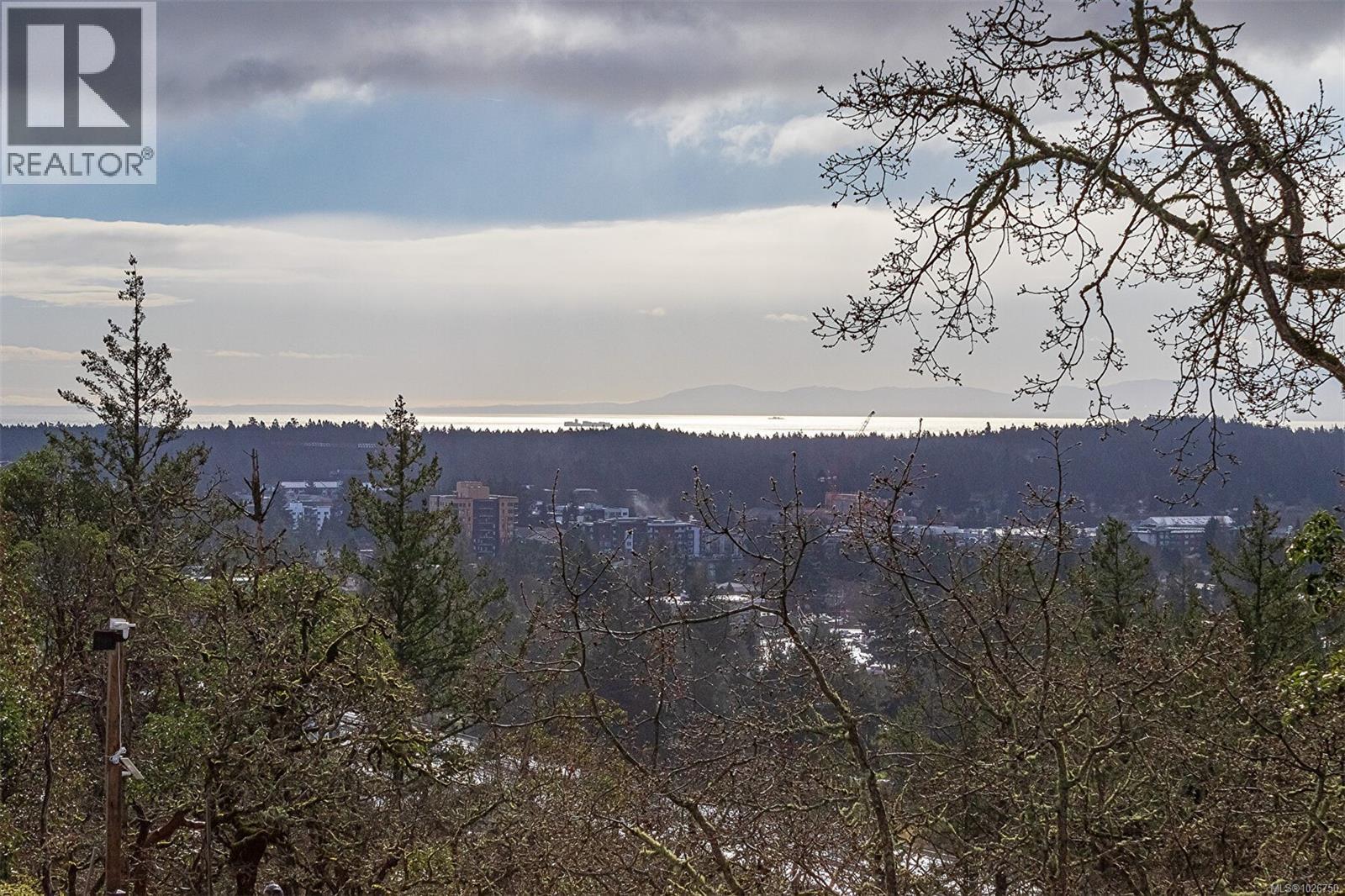 1307 Flint Ave, Langford