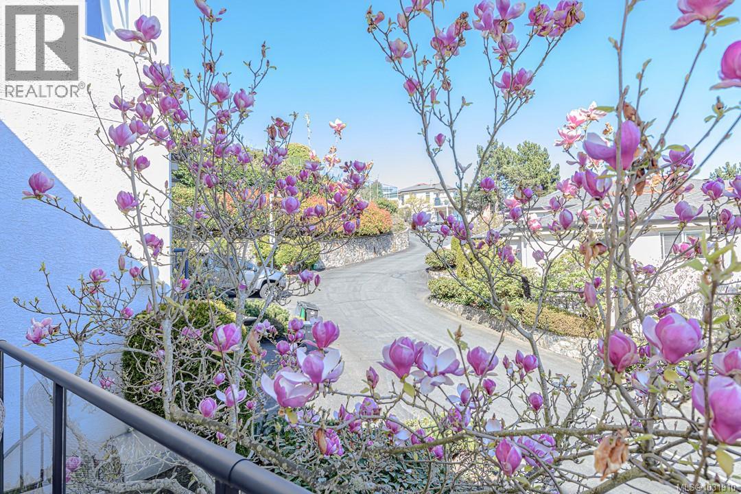 #1 300 SIX MILE RD - 32