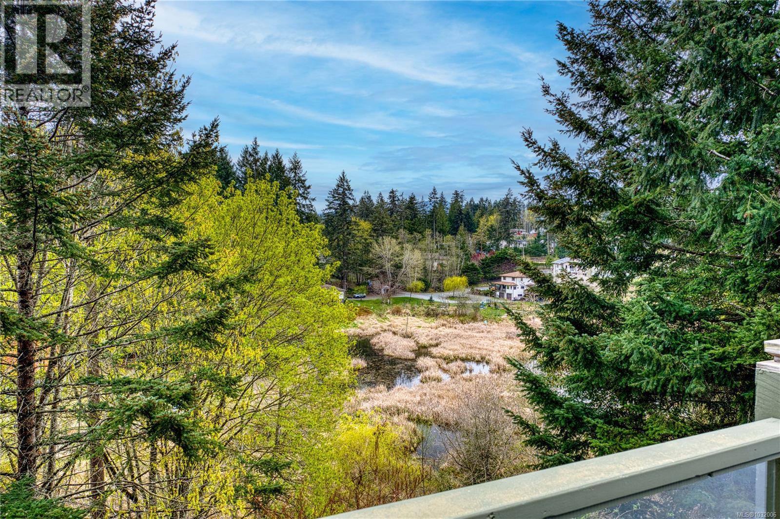 3482 ARROWSMITH RD - 40