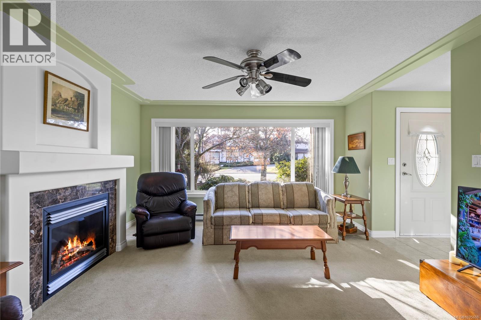 Natural gas fireplace. Serviced July 2025
