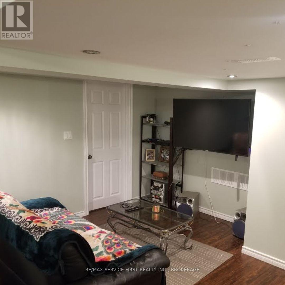 Basement Living Area