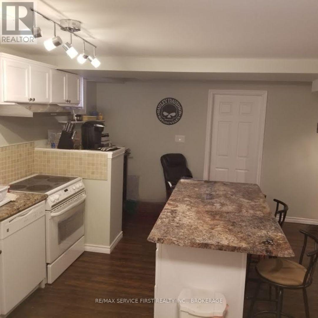 Basement Kitchen