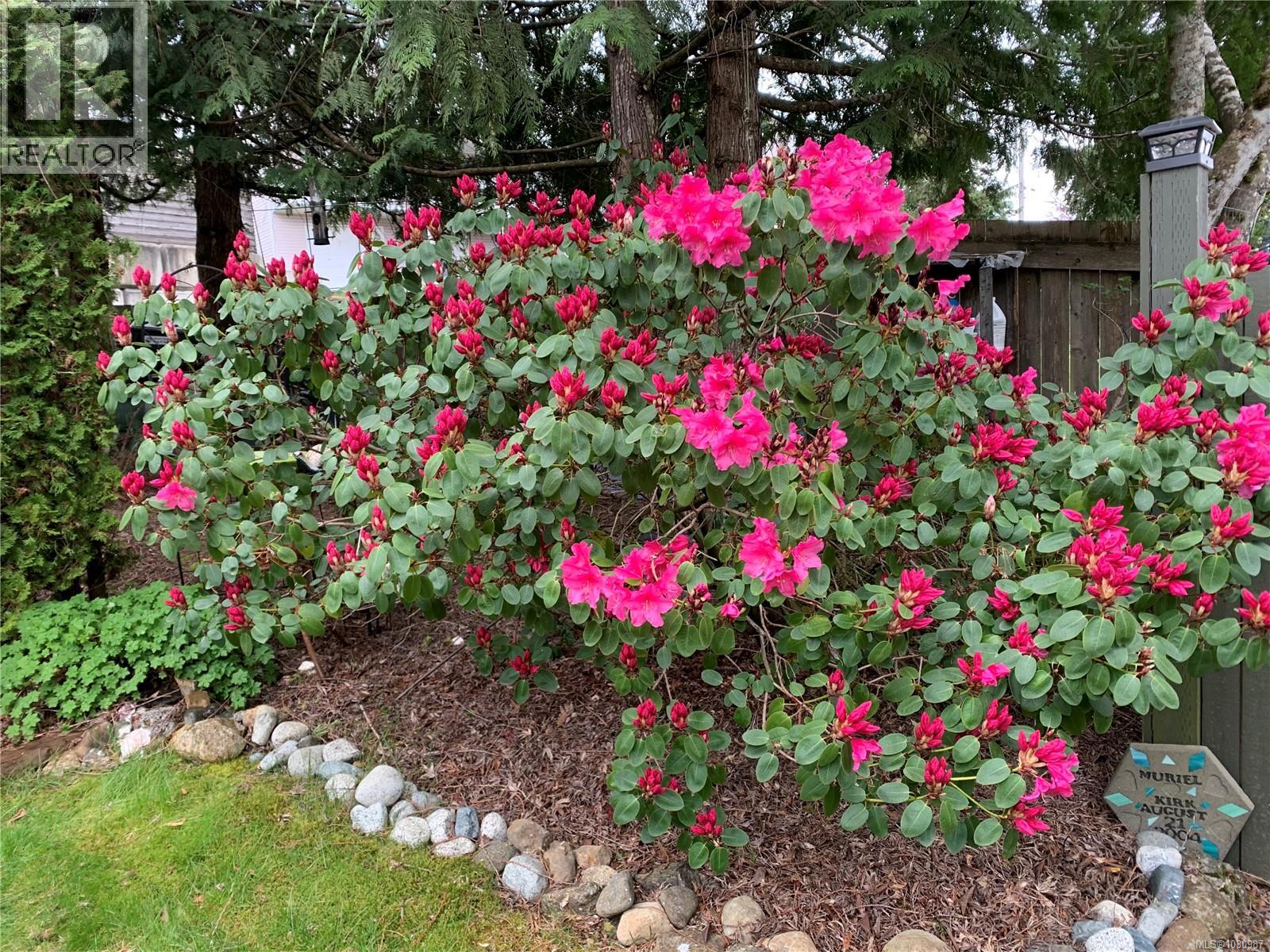 4201 KENDALL AVE - 44