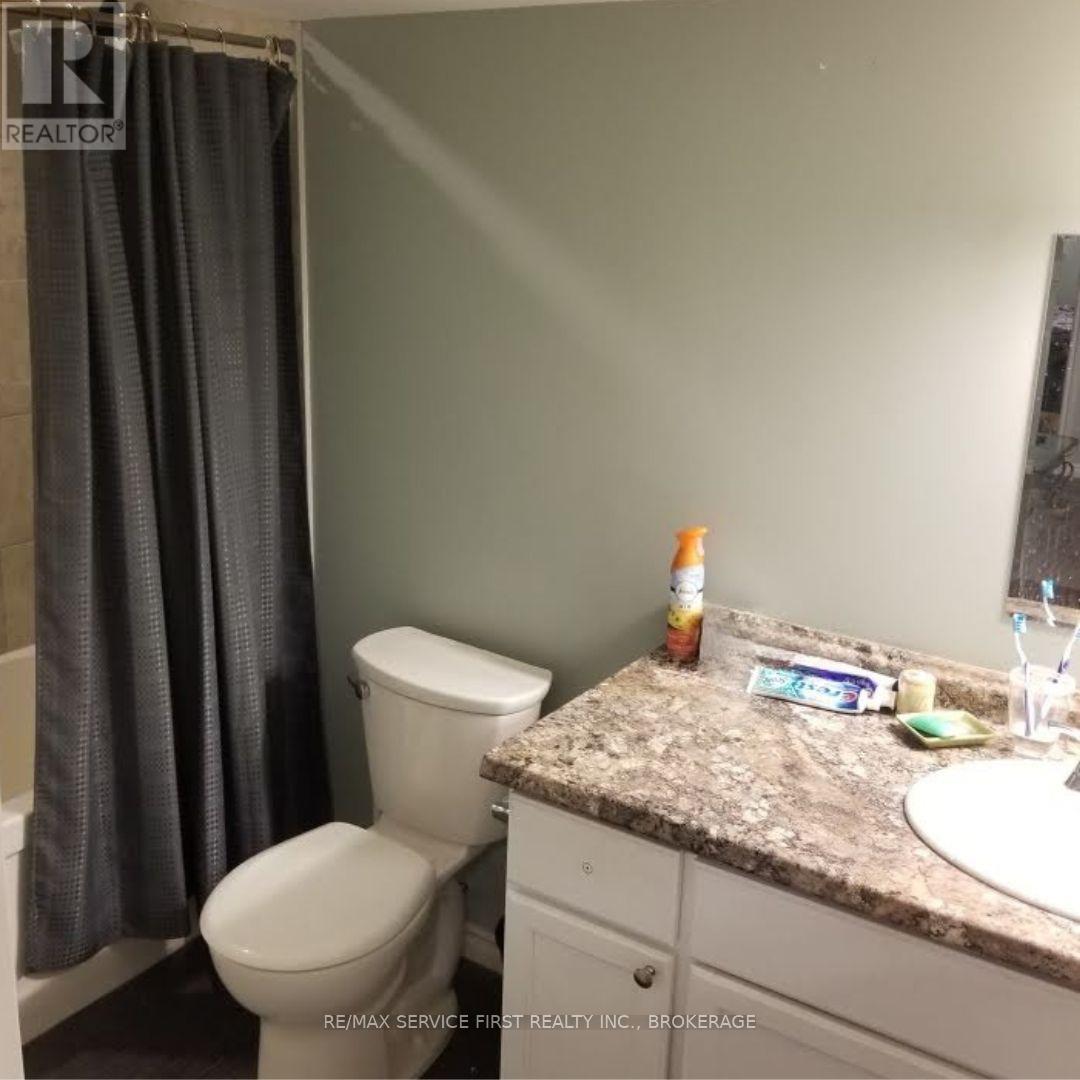 Basement Bathroom
