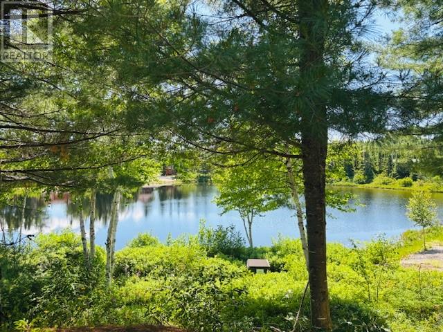 29 Lilly Brook Road — photo 41