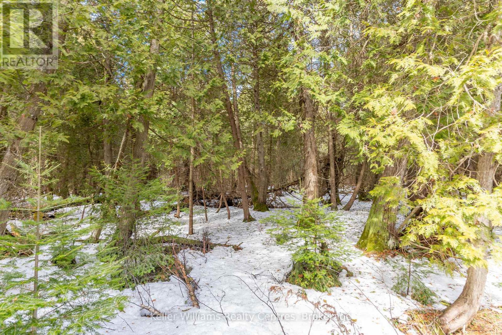 76 MYLES DRIVE — photo 22