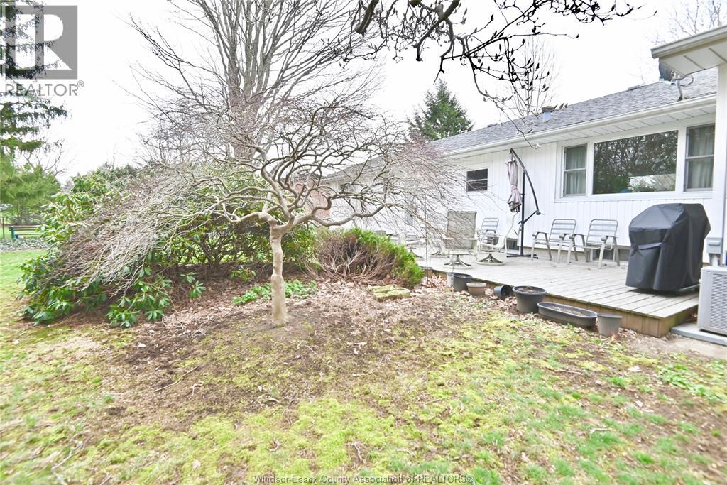 6 Lynn — photo 30