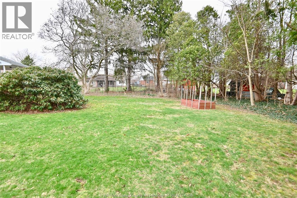 6 Lynn — photo 29