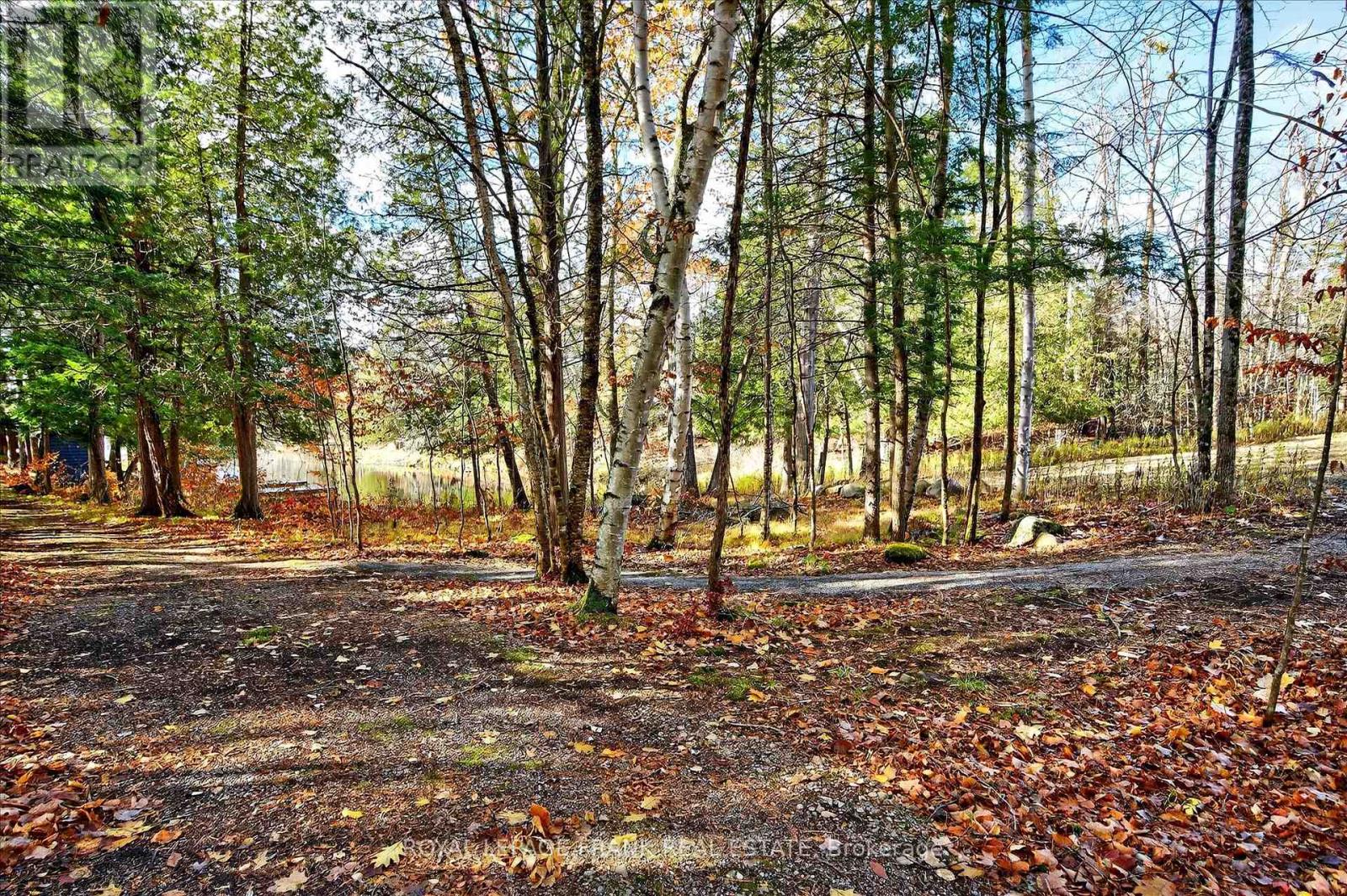 299 FIRE ROUTE 10A — photo 42