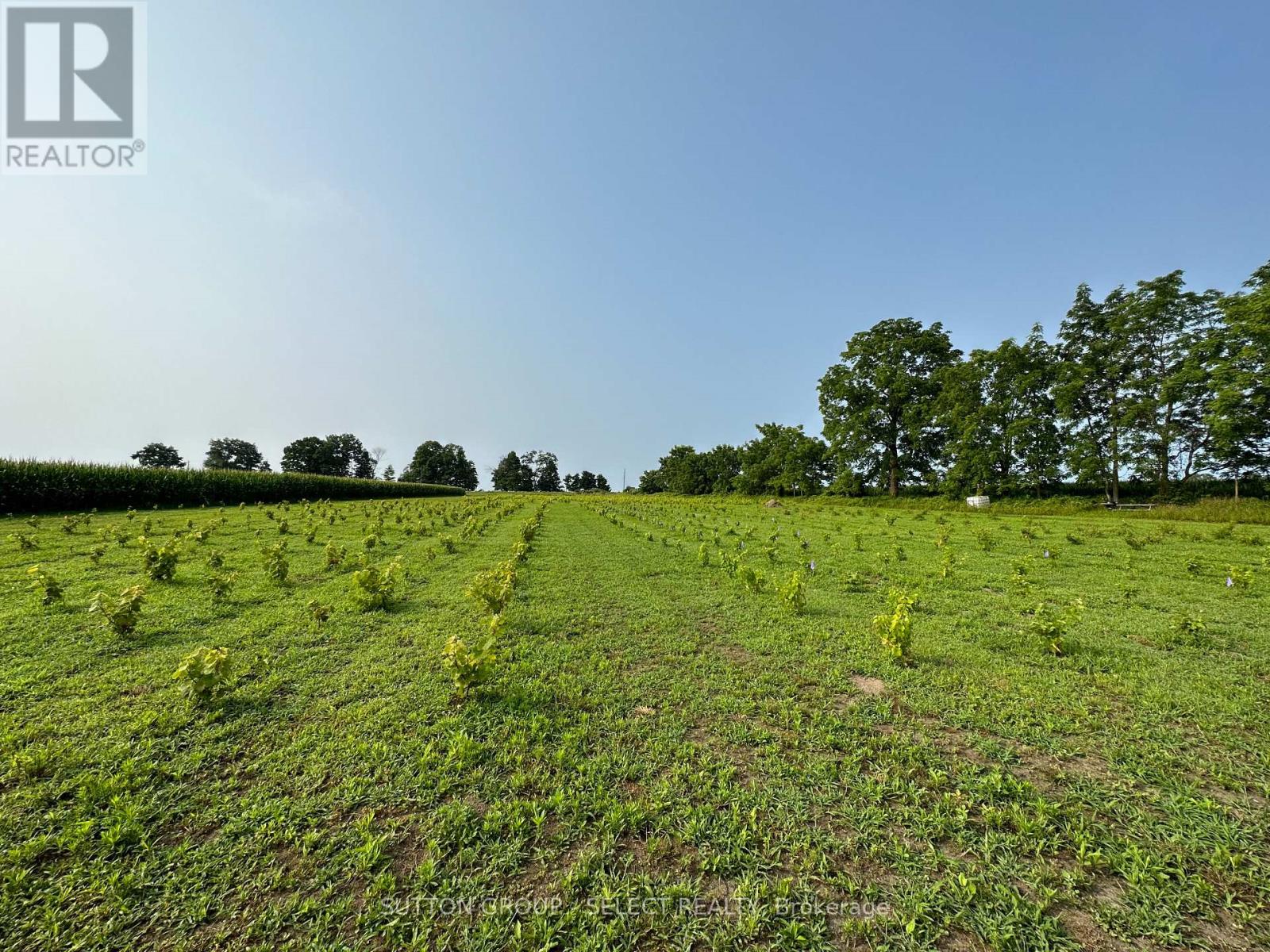 48397 DEXTER LINE Property Photo