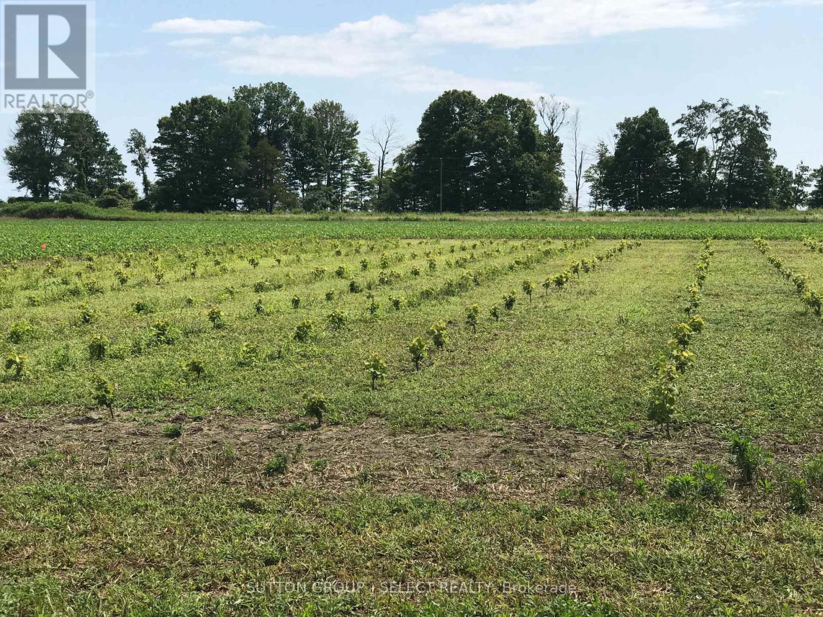 48397 DEXTER LINE Property Photo