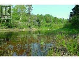 977 Route 770, Bonny River, NB E5C1C8 Photo 9