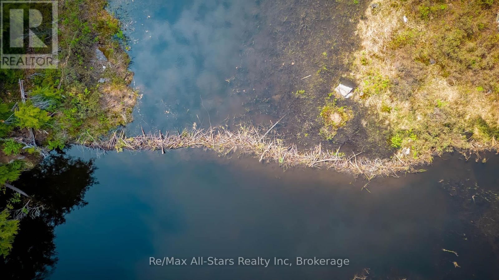 Beaver Dam
