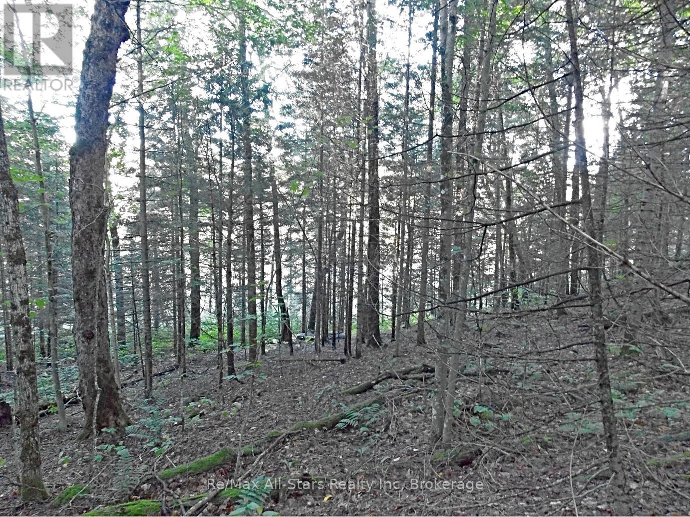 Sloped Lot