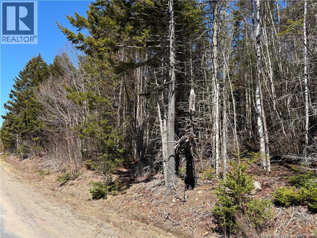 Shore Road — photo 3