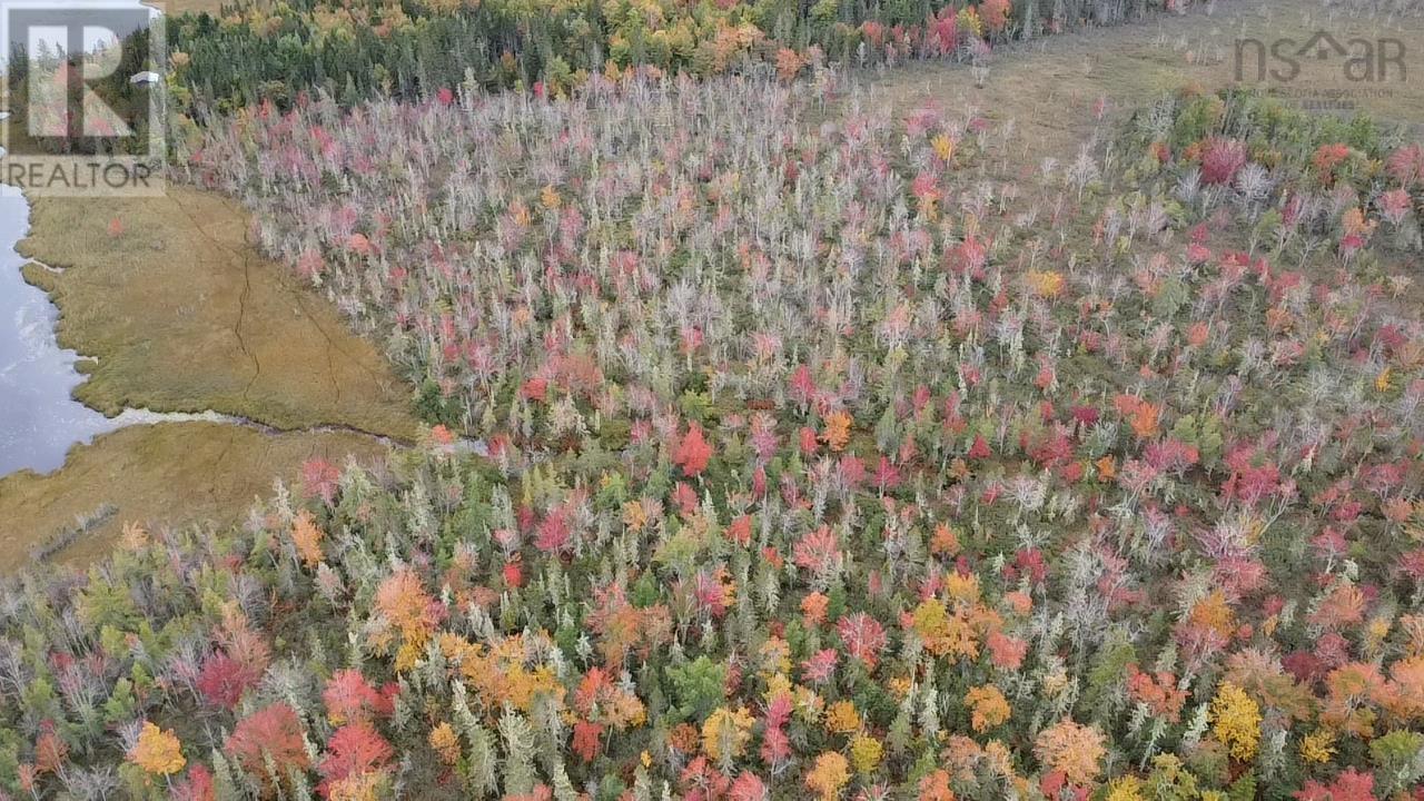 Property 6 of 7 of Lot Walton Woods Road