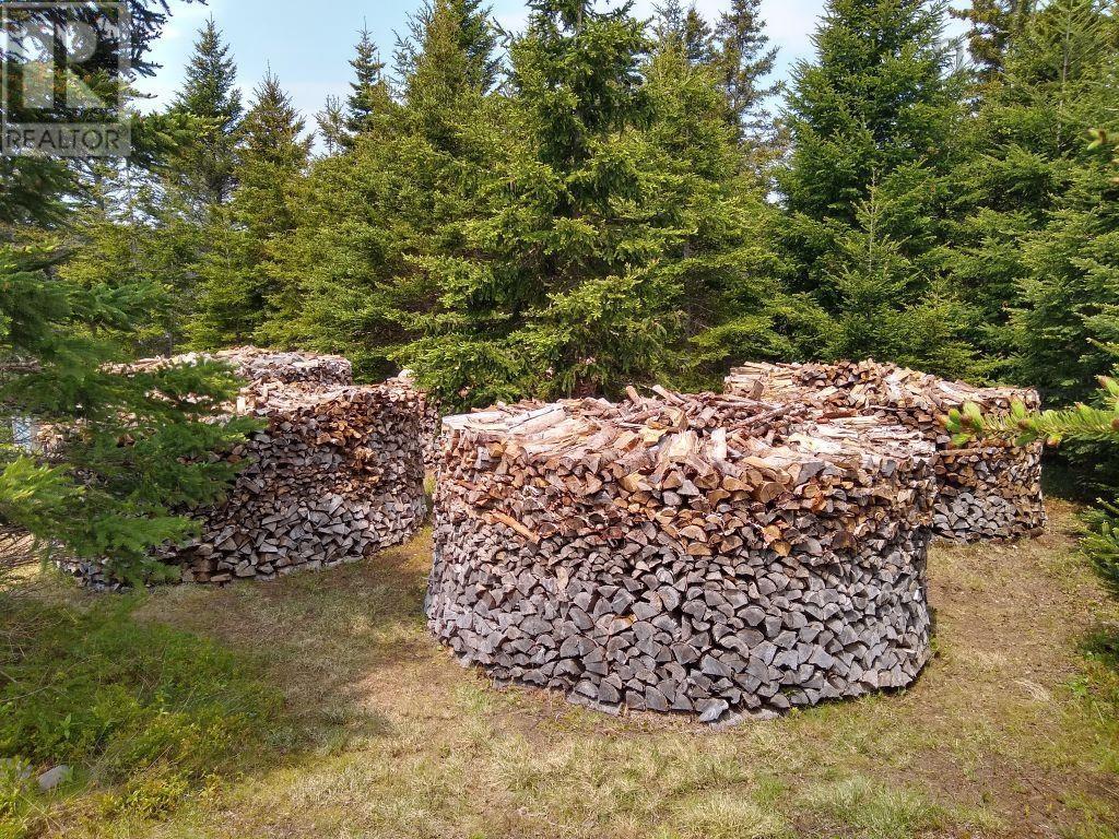 Property 28 of 36 of 290 Eastside Grand River Road