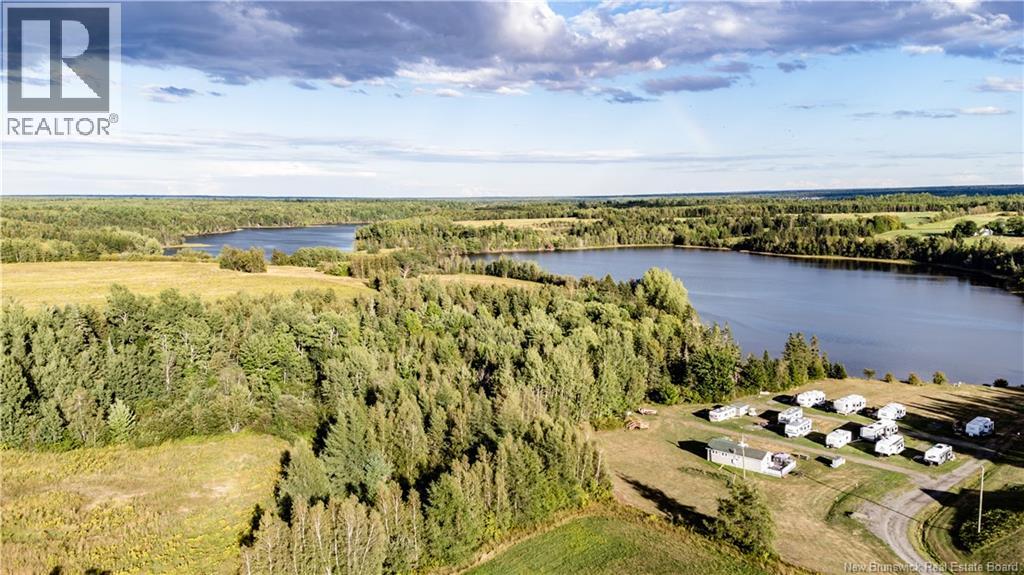 314 Alden Warmen Road - 10