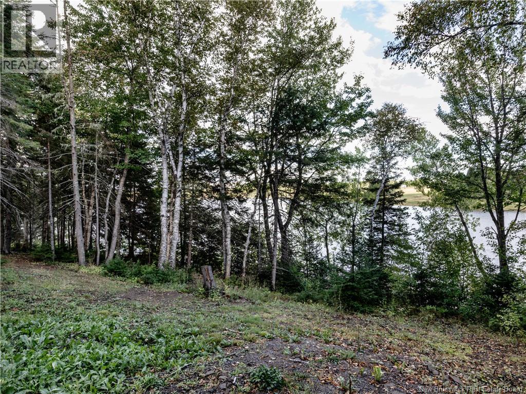 314 Alden Warmen Road - 25