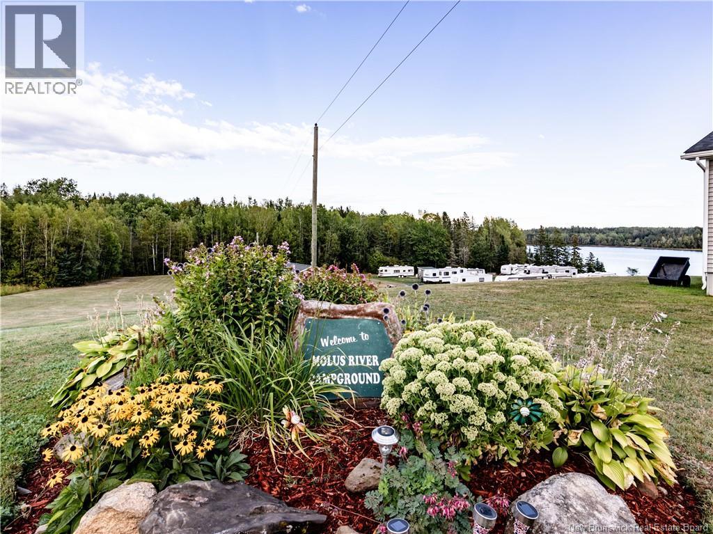 314 Alden Warmen Road - 43