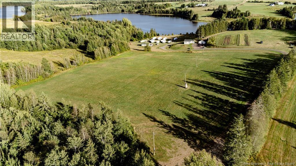 314 Alden Warmen Road - 6