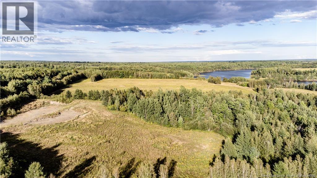314 Alden Warmen Road - 9