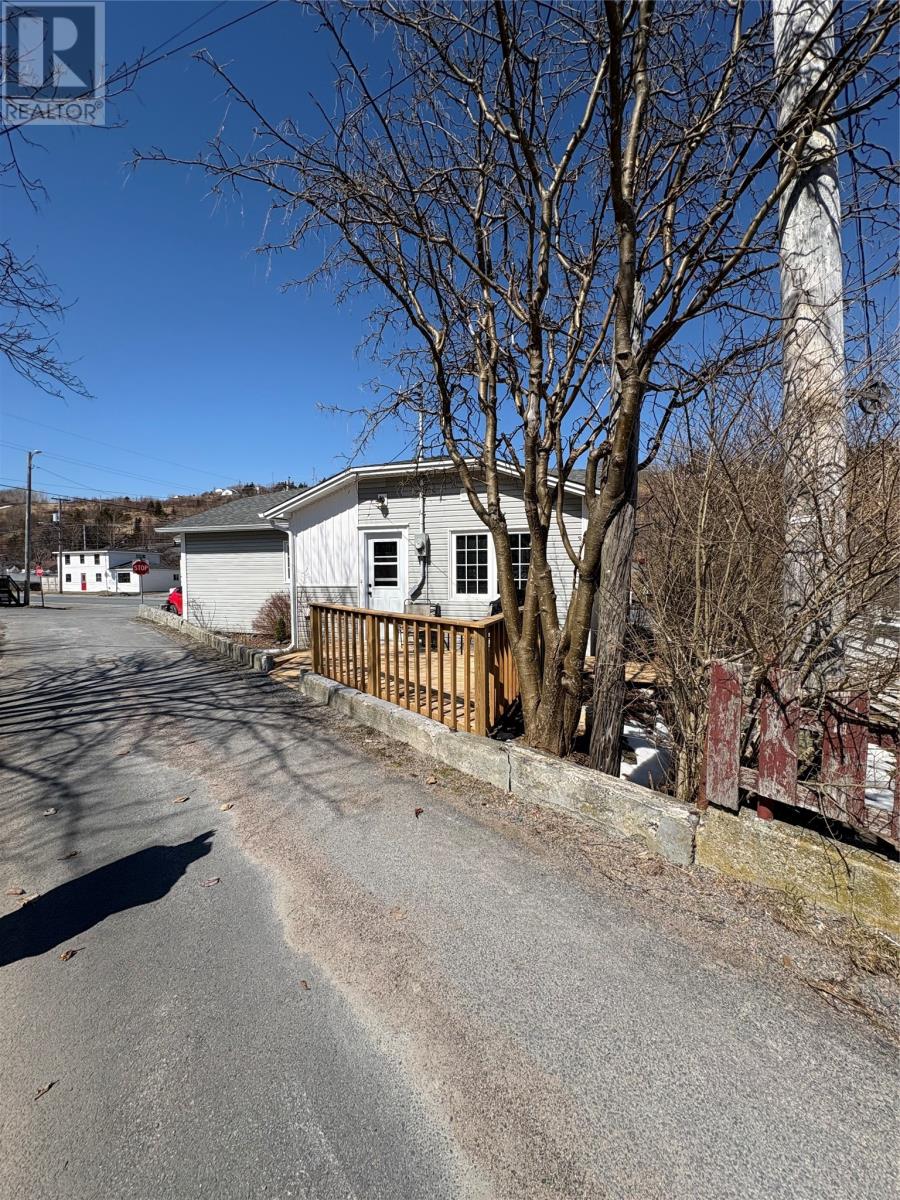 173 Harvey Street — photo 13